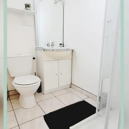 Francois - Superbe T1 - D Au Pied Des Thermes De - Wifi Avec Fibre 内里莱班